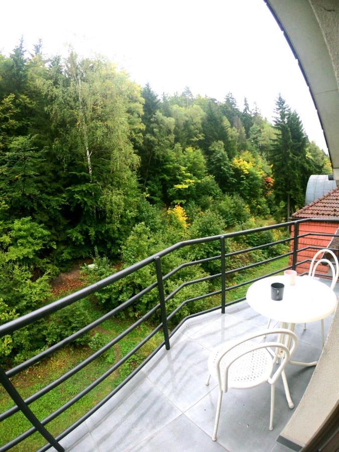 The Mountain Loft Klinovec - With Infrasauna Jáchymov Eksteriør bilde